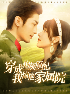 穿成炮灰原配，我惊艳家属院